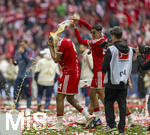 16.05.2026, Fussball Bundesliga 2025/2026, 34.Spieltag, FC Bayern München - 1.FC Köln, in der Allianz-Arena München, Nach dem Spiel die Siegerehrung für den Deutschen Meister Bayern München, v.re: Aleksandar Pavlovic (Bayern München) schüttet Jonathan Tah (FC Bayern München) das Bier über den Kopf. 