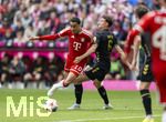 16.05.2026, Fussball Bundesliga 2025/2026, 34.Spieltag, FC Bayern München - 1.FC Köln, in der Allianz-Arena München, v.li: Lennart Karl (FC Bayern München) gegen Eric Martel (Köln) 