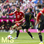 16.05.2026, Fussball Bundesliga 2025/2026, 34.Spieltag, FC Bayern München - 1.FC Köln, in der Allianz-Arena München, v.li: Lennart Karl (FC Bayern München) gegen Eric Martel (Köln) 