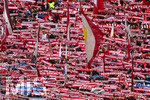 16.05.2026, Fussball Bundesliga 2025/2026, 34.Spieltag, FC Bayern München - 1.FC Köln, in der Allianz-Arena München, Bayernfans 