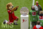 16.05.2026, Fussball Bundesliga 2025/2026, 34.Spieltag, FC Bayern München - 1.FC Köln, in der Allianz-Arena München, Die Meisterschale liegt auf der Stele bereit. Maskottchen Berni betet sie an.