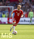 16.05.2026, Fussball Bundesliga 2025/2026, 34.Spieltag, FC Bayern München - 1.FC Köln, in der Allianz-Arena München, Konrad Laimer (FC Bayern München) am Ball 