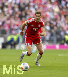 16.05.2026, Fussball Bundesliga 2025/2026, 34.Spieltag, FC Bayern München - 1.FC Köln, in der Allianz-Arena München, Leon Goretzka (FC Bayern München) am Ball 