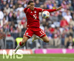 16.05.2026, Fussball Bundesliga 2025/2026, 34.Spieltag, FC Bayern München - 1.FC Köln, in der Allianz-Arena München, Jamal Musiala (Bayern München) stoppt den Ball mit der Brust.