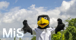 01.06.2026, Fussball, DFB-Nationalmannschaft Deutschland, letztes Training vor Abreise nach USA zur WM 2026, am DFB-Campus in Frankfurt am Main.  DFB-Maskottchen Paule der Adler