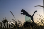 12.06.2026, Herzogenaurach in Bayern. Headquarter der Sportartikelfirma Puma SE am Unternehmenssitz in Herzogenaurach. An der Strasse auf dem Kreisverkehr steht der springende Puma, das Logo und Wahrzeichen der börsennotierten Weltfirma.