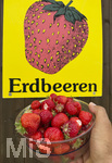 18.06.2026, Ernte auf dem Erdbeerfeld in Bad Wörishofen (Unterallgäu), frisch gepflückte Erdbeeren vom Feld in einer Schale eines Kunden. 