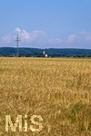 23.06.2026,  Stockheim bei Bad Wörishofen, Unterallgäu, ein goldenes Getreidefeld mit Gerste, die Gerste ist bald Erntefähig  