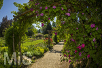 24.06.2026,  Kurpark in Bad Wörishofen (Bayern, Unterallgäu), Tausende Rosen blühen im herrlichen Kurpark der Kneippstadt. Bad Wörishofen steht in voller Blüte. Die Stadt bewirbt sich um den begehrten Titel -Rosenstadt- der Deutschen Rosengesellschaft e.V., ein Prädikat, das perfekt zum besonderen Flair Bad Wörishofens passt. Ein Grund ist: Bad Wörishofen ist vom 25. bis 28. Juni 2026 Austragungsort des renommierten Rosenkongresses der Deutschen Rosengesellschaft. 