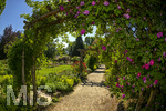 24.06.2026,  Kurpark in Bad Wörishofen (Bayern, Unterallgäu), Tausende Rosen blühen im herrlichen Kurpark der Kneippstadt. Bad Wörishofen steht in voller Blüte. Die Stadt bewirbt sich um den begehrten Titel -Rosenstadt- der Deutschen Rosengesellschaft e.V., ein Prädikat, das perfekt zum besonderen Flair Bad Wörishofens passt. Ein Grund ist: Bad Wörishofen ist vom 25. bis 28. Juni 2026 Austragungsort des renommierten Rosenkongresses der Deutschen Rosengesellschaft. 