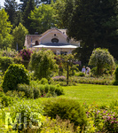 24.06.2026,  Kurpark in Bad Wörishofen (Bayern, Unterallgäu), Tausende Rosen blühen im herrlichen Kurpark der Kneippstadt. Bad Wörishofen steht in voller Blüte. Die Stadt bewirbt sich um den begehrten Titel -Rosenstadt- der Deutschen Rosengesellschaft e.V., ein Prädikat, das perfekt zum besonderen Flair Bad Wörishofens passt. Ein Grund ist: Bad Wörishofen ist vom 25. bis 28. Juni 2026 Austragungsort des renommierten Rosenkongresses der Deutschen Rosengesellschaft.  