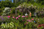 24.06.2026,  Kurpark in Bad Wörishofen (Bayern, Unterallgäu), Tausende Rosen blühen im herrlichen Kurpark der Kneippstadt. Bad Wörishofen steht in voller Blüte. Die Stadt bewirbt sich um den begehrten Titel -Rosenstadt- der Deutschen Rosengesellschaft e.V., ein Prädikat, das perfekt zum besonderen Flair Bad Wörishofens passt. Ein Grund ist: Bad Wörishofen ist vom 25. bis 28. Juni 2026 Austragungsort des renommierten Rosenkongresses der Deutschen Rosengesellschaft. 