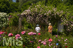 24.06.2026,  Kurpark in Bad Wörishofen (Bayern, Unterallgäu), Tausende Rosen blühen im herrlichen Kurpark der Kneippstadt. Bad Wörishofen steht in voller Blüte. Die Stadt bewirbt sich um den begehrten Titel -Rosenstadt- der Deutschen Rosengesellschaft e.V., ein Prädikat, das perfekt zum besonderen Flair Bad Wörishofens passt. Ein Grund ist: Bad Wörishofen ist vom 25. bis 28. Juni 2026 Austragungsort des renommierten Rosenkongresses der Deutschen Rosengesellschaft. 