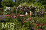 24.06.2026,  Kurpark in Bad Wörishofen (Bayern, Unterallgäu), Tausende Rosen blühen im herrlichen Kurpark der Kneippstadt. Bad Wörishofen steht in voller Blüte. Die Stadt bewirbt sich um den begehrten Titel -Rosenstadt- der Deutschen Rosengesellschaft e.V., ein Prädikat, das perfekt zum besonderen Flair Bad Wörishofens passt. Ein Grund ist: Bad Wörishofen ist vom 25. bis 28. Juni 2026 Austragungsort des renommierten Rosenkongresses der Deutschen Rosengesellschaft. 