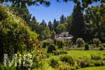 24.06.2026,  Kurpark in Bad Wörishofen (Bayern, Unterallgäu), Tausende Rosen blühen im herrlichen Kurpark der Kneippstadt. Bad Wörishofen steht in voller Blüte. Die Stadt bewirbt sich um den begehrten Titel -Rosenstadt- der Deutschen Rosengesellschaft e.V., ein Prädikat, das perfekt zum besonderen Flair Bad Wörishofens passt. Ein Grund ist: Bad Wörishofen ist vom 25. bis 28. Juni 2026 Austragungsort des renommierten Rosenkongresses der Deutschen Rosengesellschaft.  