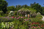 24.06.2026,  Kurpark in Bad Wörishofen (Bayern, Unterallgäu), Tausende Rosen blühen im herrlichen Kurpark der Kneippstadt. Bad Wörishofen steht in voller Blüte. Die Stadt bewirbt sich um den begehrten Titel -Rosenstadt- der Deutschen Rosengesellschaft e.V., ein Prädikat, das perfekt zum besonderen Flair Bad Wörishofens passt. Ein Grund ist: Bad Wörishofen ist vom 25. bis 28. Juni 2026 Austragungsort des renommierten Rosenkongresses der Deutschen Rosengesellschaft. 