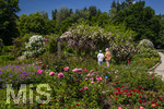 24.06.2026,  Kurpark in Bad Wörishofen (Bayern, Unterallgäu), Tausende Rosen blühen im herrlichen Kurpark der Kneippstadt. Bad Wörishofen steht in voller Blüte. Die Stadt bewirbt sich um den begehrten Titel -Rosenstadt- der Deutschen Rosengesellschaft e.V., ein Prädikat, das perfekt zum besonderen Flair Bad Wörishofens passt. Ein Grund ist: Bad Wörishofen ist vom 25. bis 28. Juni 2026 Austragungsort des renommierten Rosenkongresses der Deutschen Rosengesellschaft. 