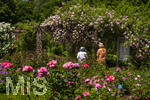24.06.2026,  Kurpark in Bad Wörishofen (Bayern, Unterallgäu), Tausende Rosen blühen im herrlichen Kurpark der Kneippstadt. Bad Wörishofen steht in voller Blüte. Die Stadt bewirbt sich um den begehrten Titel -Rosenstadt- der Deutschen Rosengesellschaft e.V., ein Prädikat, das perfekt zum besonderen Flair Bad Wörishofens passt. Ein Grund ist: Bad Wörishofen ist vom 25. bis 28. Juni 2026 Austragungsort des renommierten Rosenkongresses der Deutschen Rosengesellschaft. 