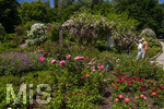 24.06.2026,  Kurpark in Bad Wörishofen (Bayern, Unterallgäu), Tausende Rosen blühen im herrlichen Kurpark der Kneippstadt. Bad Wörishofen steht in voller Blüte. Die Stadt bewirbt sich um den begehrten Titel -Rosenstadt- der Deutschen Rosengesellschaft e.V., ein Prädikat, das perfekt zum besonderen Flair Bad Wörishofens passt. Ein Grund ist: Bad Wörishofen ist vom 25. bis 28. Juni 2026 Austragungsort des renommierten Rosenkongresses der Deutschen Rosengesellschaft. 