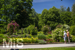 24.06.2026,  Kurpark in Bad Wörishofen (Bayern, Unterallgäu), Tausende Rosen blühen im herrlichen Kurpark der Kneippstadt. Bad Wörishofen steht in voller Blüte. Die Stadt bewirbt sich um den begehrten Titel -Rosenstadt- der Deutschen Rosengesellschaft e.V., ein Prädikat, das perfekt zum besonderen Flair Bad Wörishofens passt. Ein Grund ist: Bad Wörishofen ist vom 25. bis 28. Juni 2026 Austragungsort des renommierten Rosenkongresses der Deutschen Rosengesellschaft. 