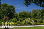 24.06.2026,  Kurpark in Bad Wörishofen (Bayern, Unterallgäu), Tausende Rosen blühen im herrlichen Kurpark der Kneippstadt. Bad Wörishofen steht in voller Blüte. Die Stadt bewirbt sich um den begehrten Titel -Rosenstadt- der Deutschen Rosengesellschaft e.V., ein Prädikat, das perfekt zum besonderen Flair Bad Wörishofens passt. Ein Grund ist: Bad Wörishofen ist vom 25. bis 28. Juni 2026 Austragungsort des renommierten Rosenkongresses der Deutschen Rosengesellschaft. 