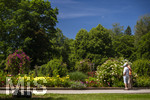 24.06.2026,  Kurpark in Bad Wörishofen (Bayern, Unterallgäu), Tausende Rosen blühen im herrlichen Kurpark der Kneippstadt. Bad Wörishofen steht in voller Blüte. Die Stadt bewirbt sich um den begehrten Titel -Rosenstadt- der Deutschen Rosengesellschaft e.V., ein Prädikat, das perfekt zum besonderen Flair Bad Wörishofens passt. Ein Grund ist: Bad Wörishofen ist vom 25. bis 28. Juni 2026 Austragungsort des renommierten Rosenkongresses der Deutschen Rosengesellschaft. 