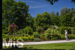 24.06.2026,  Kurpark in Bad Wörishofen (Bayern, Unterallgäu), Tausende Rosen blühen im herrlichen Kurpark der Kneippstadt. Bad Wörishofen steht in voller Blüte. Die Stadt bewirbt sich um den begehrten Titel -Rosenstadt- der Deutschen Rosengesellschaft e.V., ein Prädikat, das perfekt zum besonderen Flair Bad Wörishofens passt. Ein Grund ist: Bad Wörishofen ist vom 25. bis 28. Juni 2026 Austragungsort des renommierten Rosenkongresses der Deutschen Rosengesellschaft. 