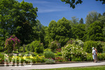 24.06.2026,  Kurpark in Bad Wörishofen (Bayern, Unterallgäu), Tausende Rosen blühen im herrlichen Kurpark der Kneippstadt. Bad Wörishofen steht in voller Blüte. Die Stadt bewirbt sich um den begehrten Titel -Rosenstadt- der Deutschen Rosengesellschaft e.V., ein Prädikat, das perfekt zum besonderen Flair Bad Wörishofens passt. Ein Grund ist: Bad Wörishofen ist vom 25. bis 28. Juni 2026 Austragungsort des renommierten Rosenkongresses der Deutschen Rosengesellschaft. 