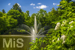 24.06.2026,  Kurpark in Bad Wörishofen (Bayern), Der Springbrunnen im See 