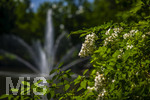 24.06.2026,  Kurpark in Bad Wörishofen (Bayern), Der Springbrunnen im See 