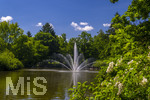 24.06.2026,  Kurpark in Bad Wörishofen (Bayern), Der Springbrunnen im See 