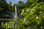 24.06.2026,  Kurpark in Bad Wörishofen (Bayern), Der Springbrunnen im See 