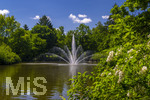 24.06.2026,  Kurpark in Bad Wörishofen (Bayern), Der Springbrunnen im See 