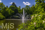 24.06.2026,  Kurpark in Bad Wörishofen (Bayern), Der Springbrunnen im See 