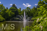 24.06.2026,  Kurpark in Bad Wörishofen (Bayern), Der Springbrunnen im See 