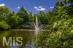 24.06.2026,  Kurpark in Bad Wörishofen (Bayern), Der Springbrunnen im See 