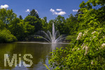 24.06.2026,  Kurpark in Bad Wörishofen (Bayern), Der Springbrunnen im See 