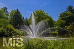 24.06.2026,  Kurpark in Bad Wörishofen (Bayern), Der Springbrunnen im See 