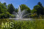 24.06.2026,  Kurpark in Bad Wörishofen (Bayern), Der Springbrunnen im See 