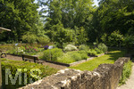 24.06.2026,  Kurpark in Bad Wörishofen (Bayern),  der schön angelegte Kneipp-Kräutergarten mit den bekanntesten Heilkräutern in der Heilkunde.