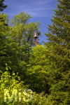 24.06.2026,  Kurpark in Bad Wörishofen (Bayern),  Baumpflege durch die Städtischen Gärtner, auf einem Hubsteiger stehend werden auch die Aste in den hohen Baumkronen gelichtet.