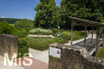 24.06.2026,  Kurpark in Bad Wörishofen (Bayern),  der schön angelegte Kneipp-Kräutergarten mit den bekanntesten Heilkräutern in der Heilkunde.