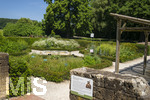 24.06.2026,  Kurpark in Bad Wörishofen (Bayern),  der schön angelegte Kneipp-Kräutergarten mit den bekanntesten Heilkräutern in der Heilkunde.