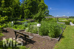 24.06.2026,  Kurpark in Bad Wörishofen (Bayern),  der schön angelegte Kneipp-Kräutergarten mit den bekanntesten Heilkräutern in der Heilkunde. 