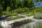24.06.2026,  Kurpark in Bad Wörishofen (Bayern),  der schön angelegte Kneipp-Kräutergarten mit den bekanntesten Heilkräutern in der Heilkunde.  