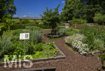 24.06.2026,  Kurpark in Bad Wörishofen (Bayern),  der schön angelegte Kneipp-Kräutergarten mit den bekanntesten Heilkräutern in der Heilkunde. 