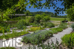 24.06.2026,  Kurpark in Bad Wörishofen (Bayern),  der schön angelegte Kneipp-Kräutergarten mit den bekanntesten Heilkräutern in der Heilkunde.  