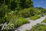 24.06.2026,  Kurpark in Bad Wörishofen (Bayern),  der schön angelegte Kneipp-Kräutergarten mit den bekanntesten Heilkräutern in der Heilkunde. 