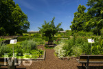 24.06.2026,  Kurpark in Bad Wörishofen (Bayern),  der schön angelegte Kneipp-Kräutergarten mit den bekanntesten Heilkräutern in der Heilkunde. 