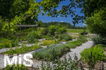 24.06.2026,  Kurpark in Bad Wörishofen (Bayern),  der schön angelegte Kneipp-Kräutergarten mit den bekanntesten Heilkräutern in der Heilkunde.  
